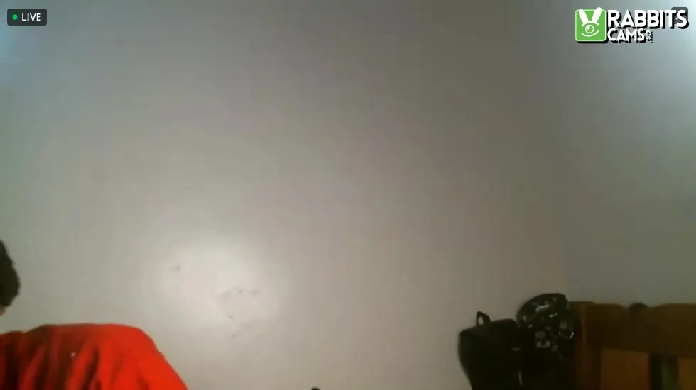 Artist babe_stellah Video 1