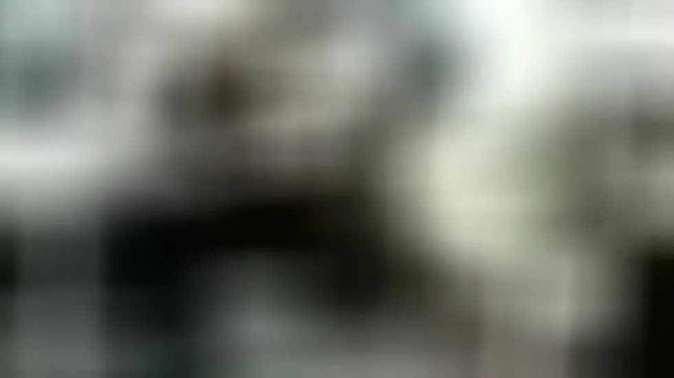 Performer HardinPole Video 1