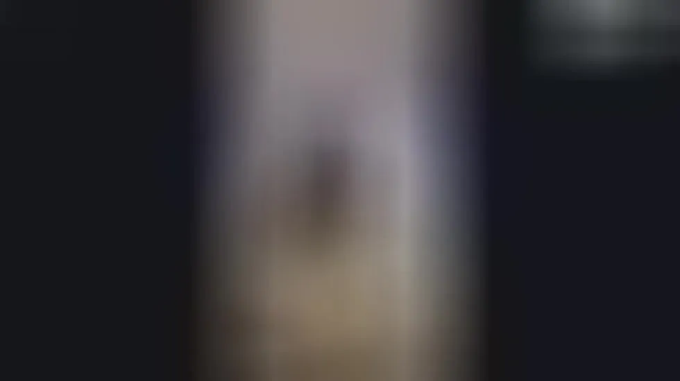 Artista Zenko Video 1