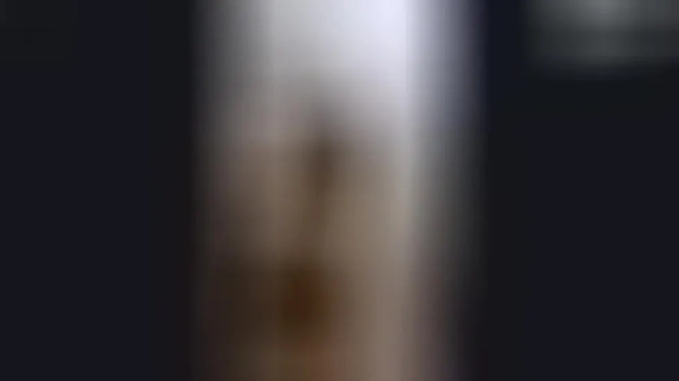 Utøver MabelAdams Video 1