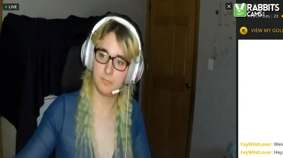 Artist FeyWildLover Video 1