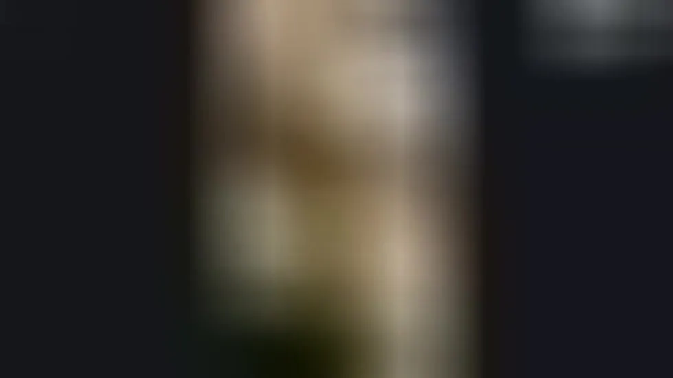 Artiest AveFenix61 Video 1