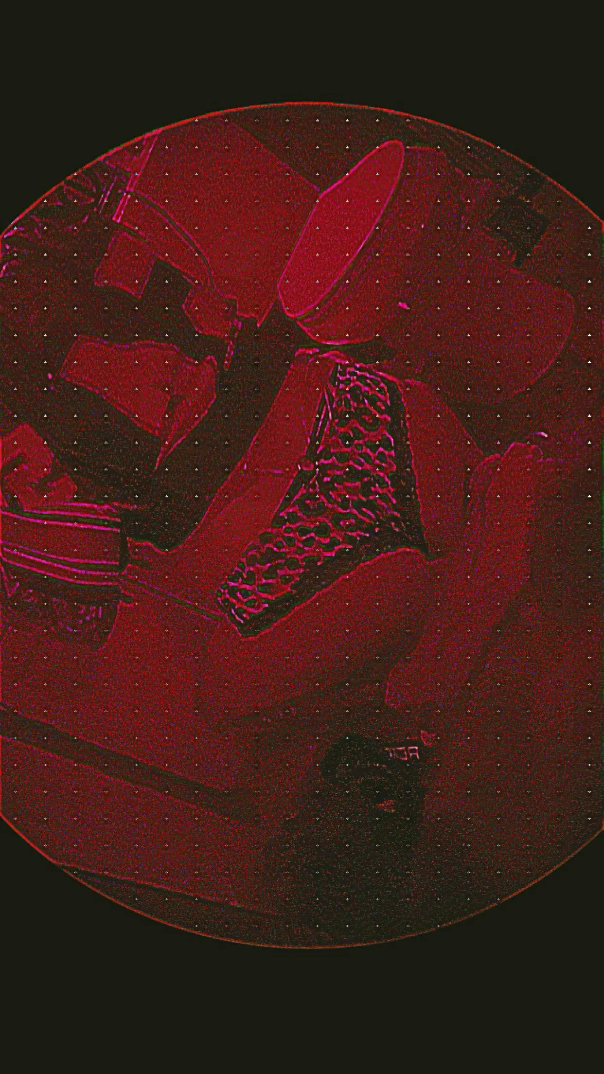 Intérprete Polo69Loco Foto 1