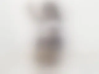 DaringDwarf profielfoto van cam model