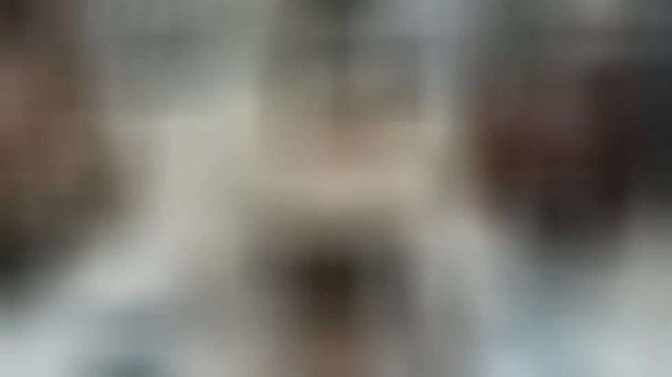 Artista AdrianaFord Video 1