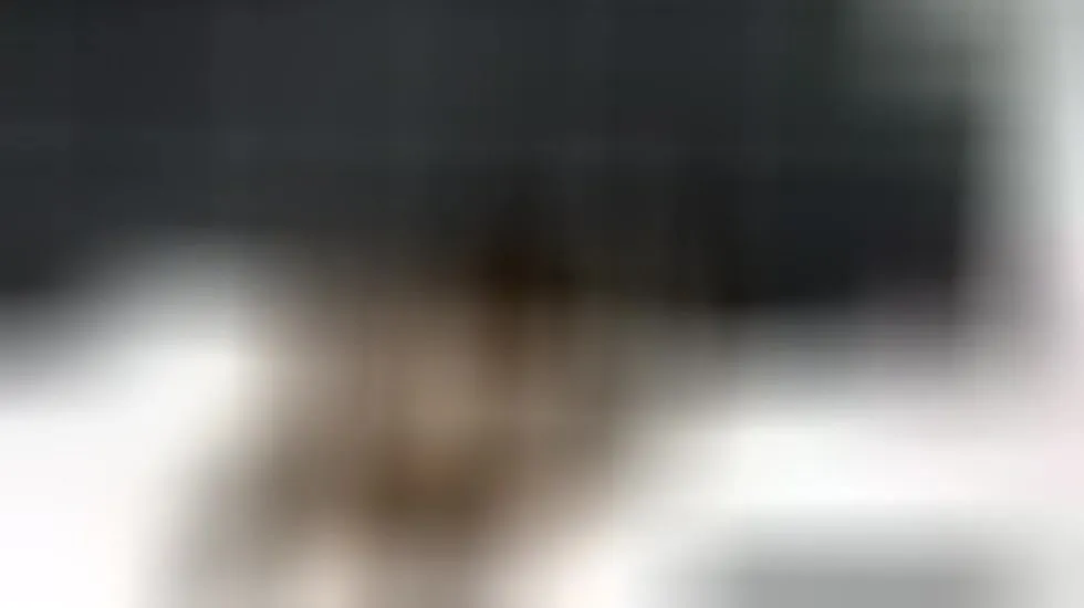 Interprète CarolinaColemann Vidéo 1