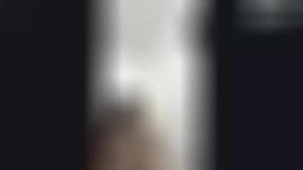 Artist Amelia_Lm Video 1