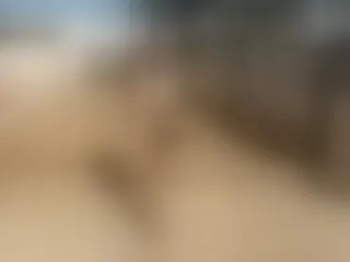 Profilbilde av WETPUSSY23XXX webkamera modell