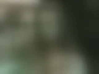 Profilbilde av Sugar_KatXO webkamera modell
