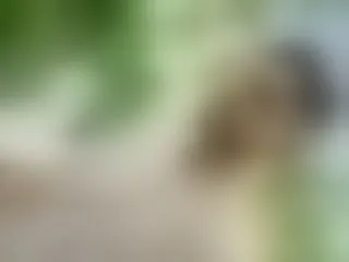 Image de profil du modèle de webcam HotPulse_vc