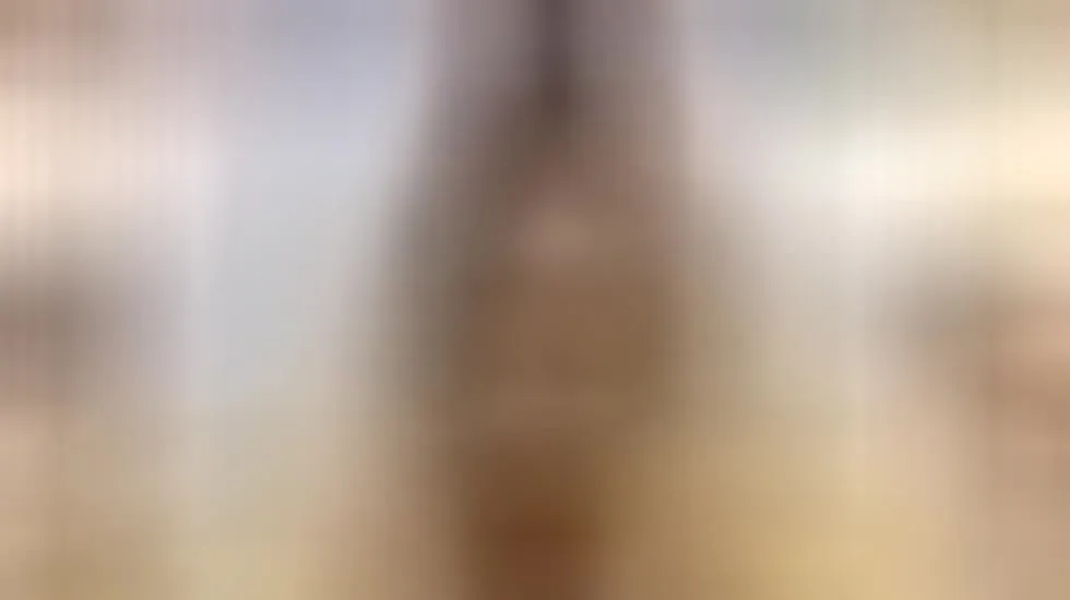 Interprete GemaScot Video 1