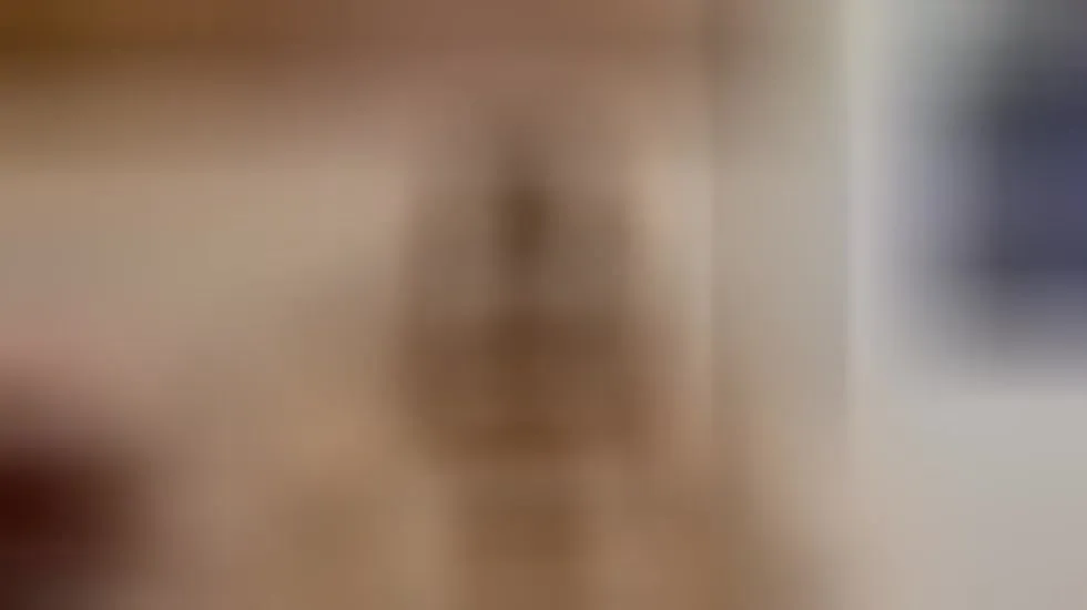 Darsteller ErikaHart Video 1
