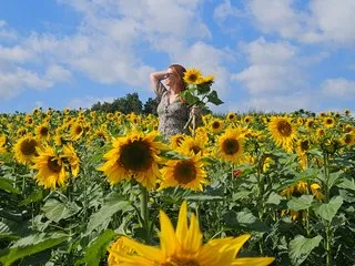 Profilbilde av Ms_Sloane webkamera modell