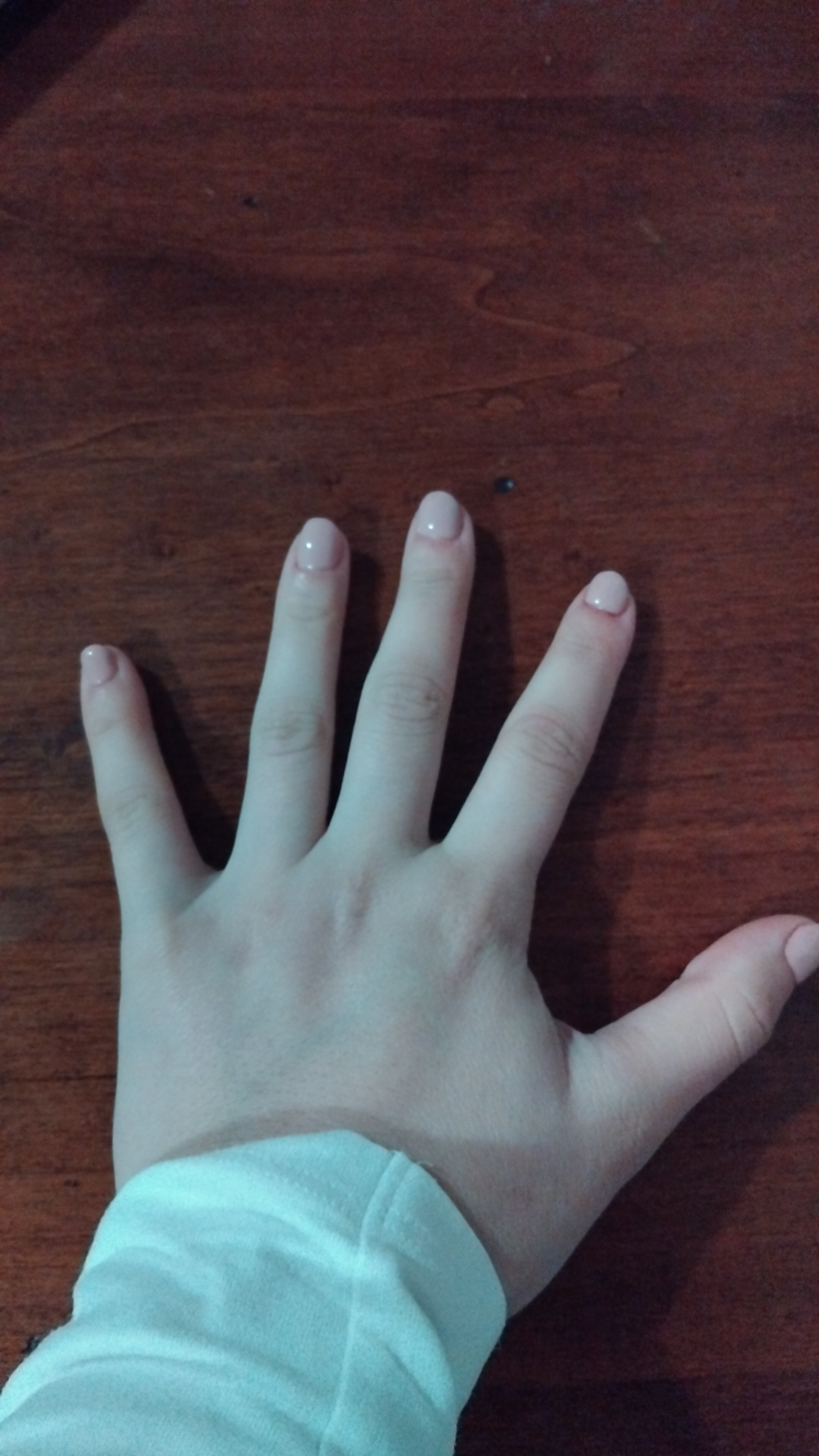 Interprète Bellahot66 Photo 1