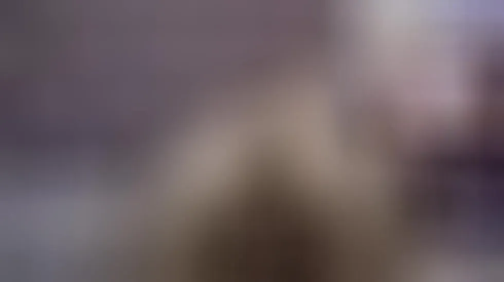Artista CarinaFoxy Video 1