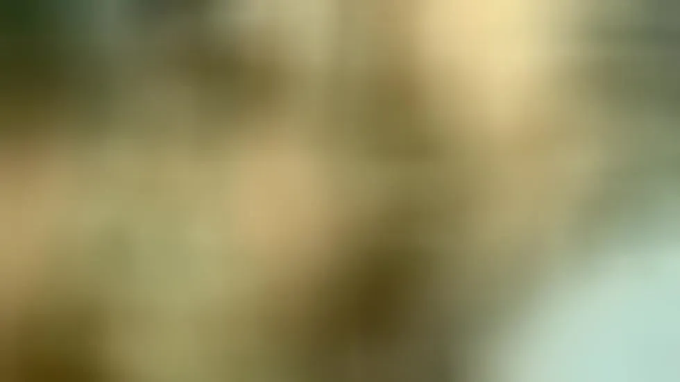 Artista Doll_fenty Video 1