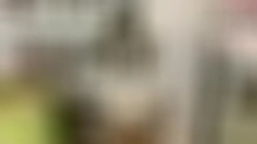 Darsteller PriscilaCooper Video 1