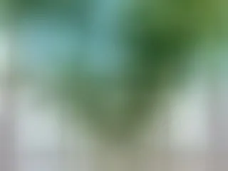 Foto de perfil de modelo de webcam de Nicecock77