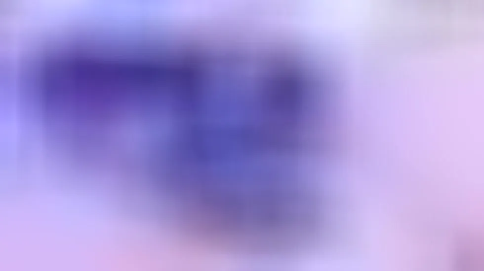 Interprète ViolettBianchi Vidéo 1