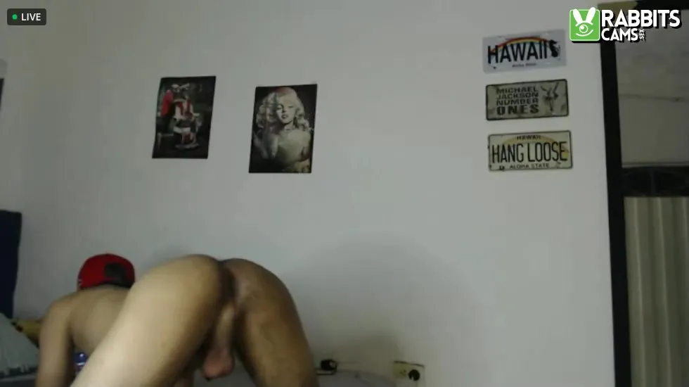 Interprète anthony_voss Vidéo 1
