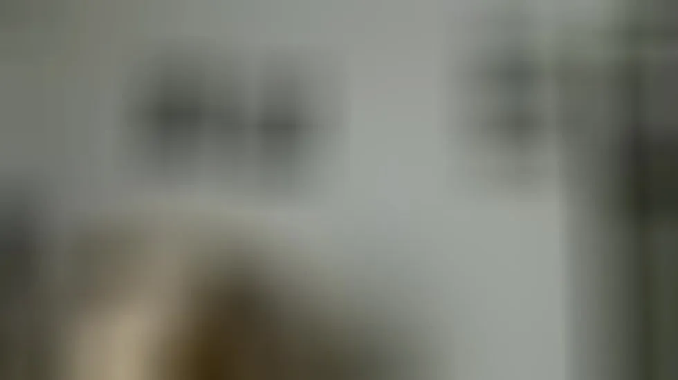 Intérprete anthony_voss Video 1