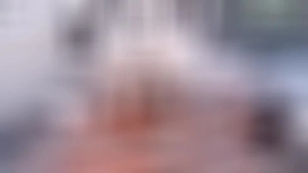 Artiest Pisces_Princess Video 1