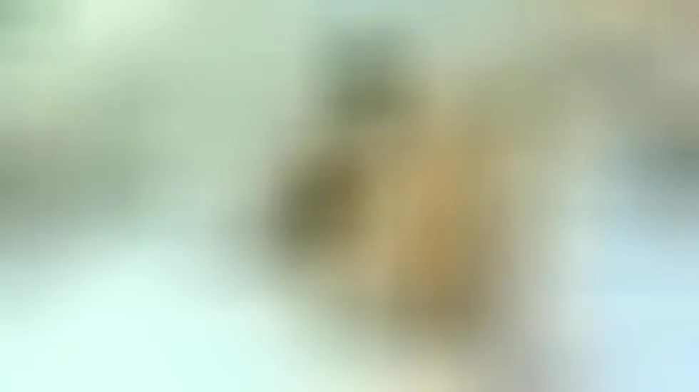 Artiest MeganVellvet Video 1