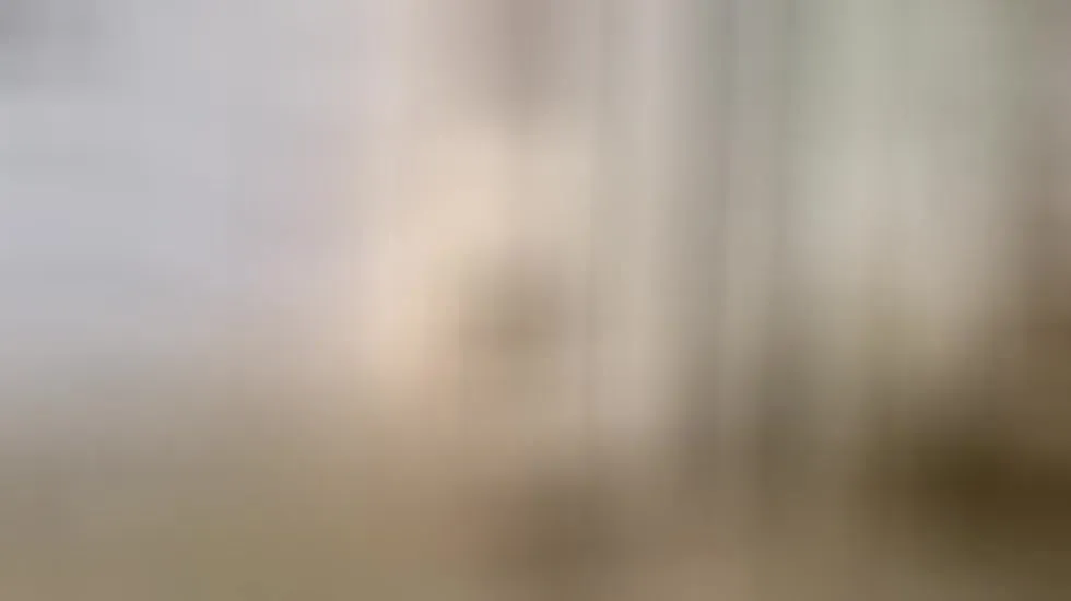 Interprete RoxieMiller Video 1