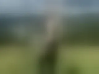 polishangel60