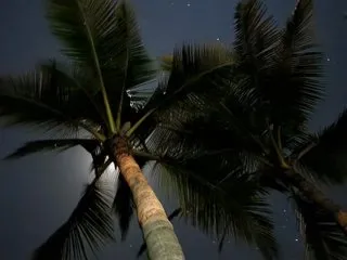 Aaron110011 profielfoto van cam model