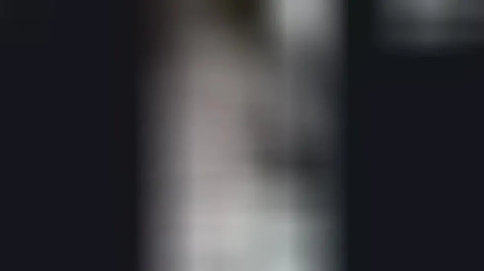 Intérprete minhaaaaa231 Video 1