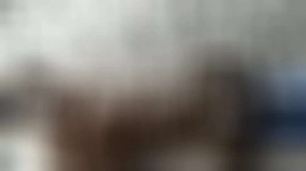 Darsteller CurvyBootiliscious88 Video 1