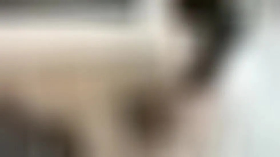 Interprète SofiaKortez Vidéo 1