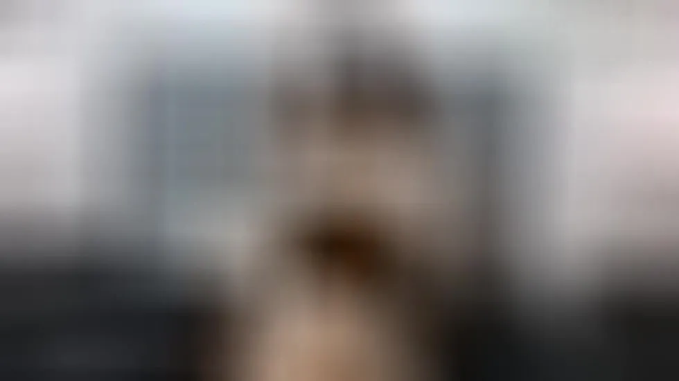 Artiest Cynthia1Fox Video 1