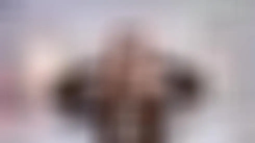Artista ZaraForb Video 1