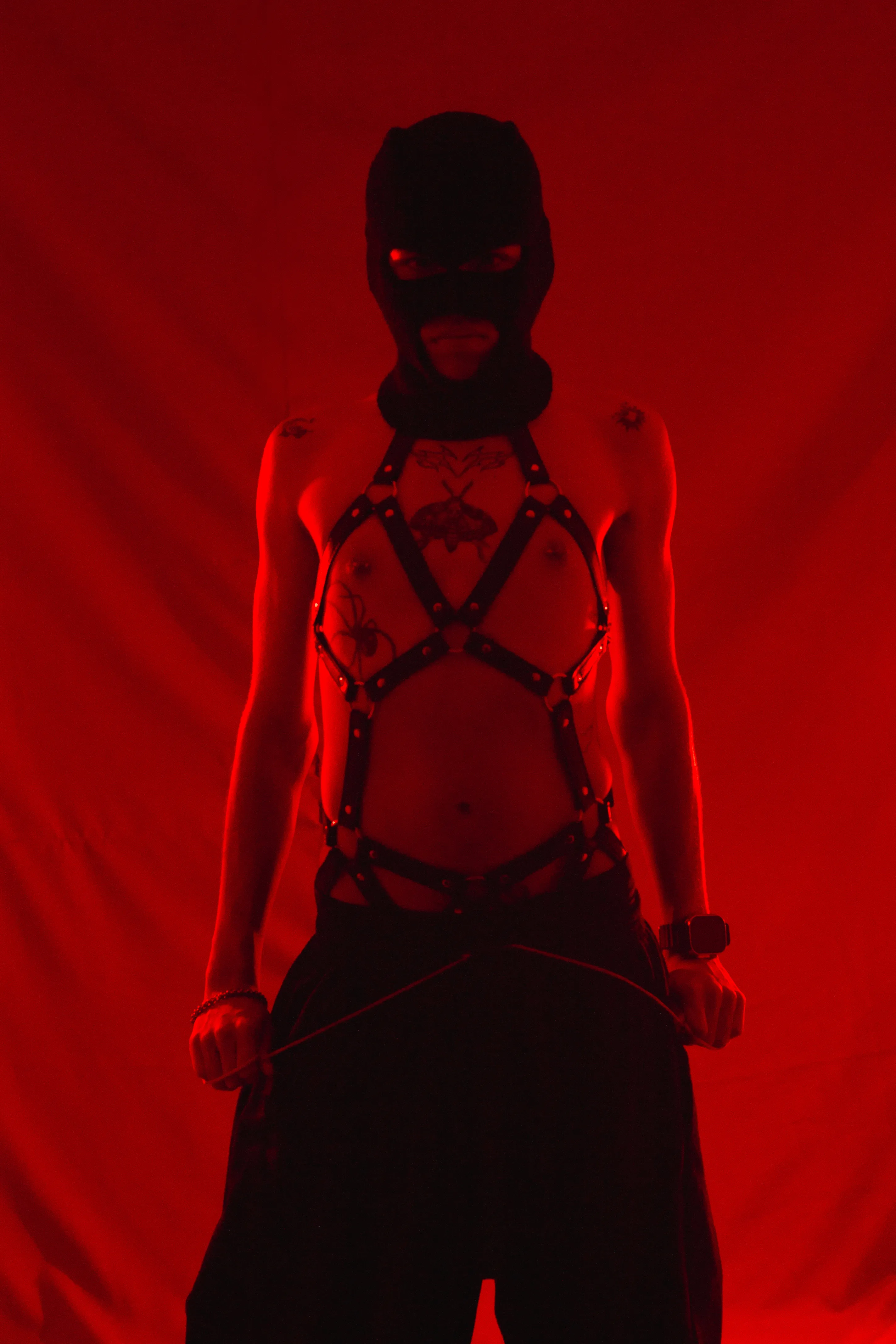 Interprète Bennet_Gray Photo 12