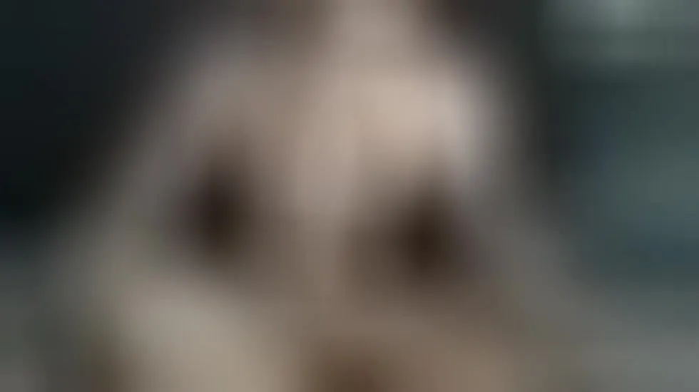 Artist CurvyAssGiGi26 Video 1