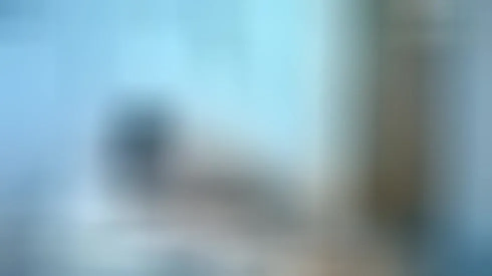 Darsteller IVORYY Video 1