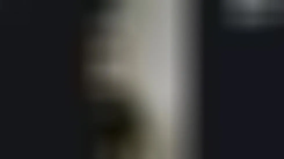 Artiest Andrewolson Video 1
