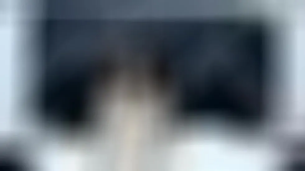 Utøver BellaMontblanc Video 1