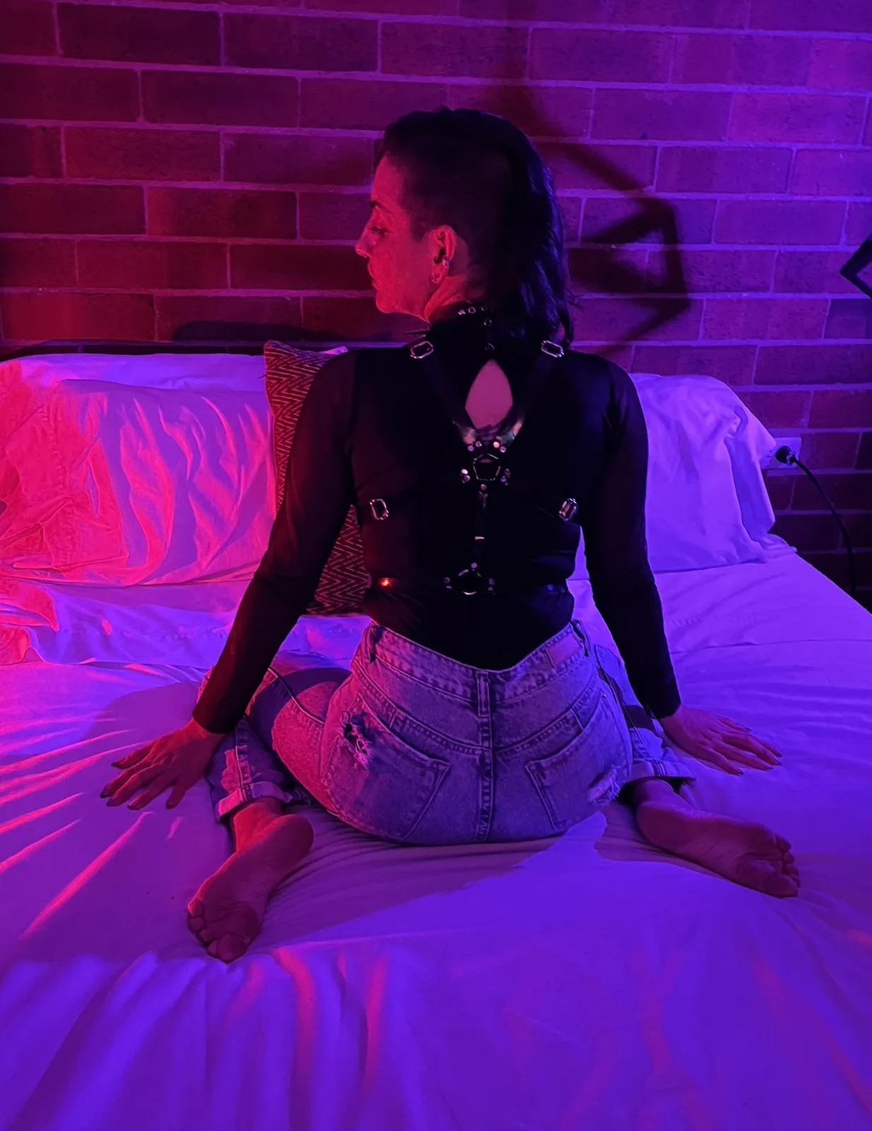 Artist analieberth Foto 1