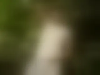 Image de profil du modèle de webcam Bastivontade
