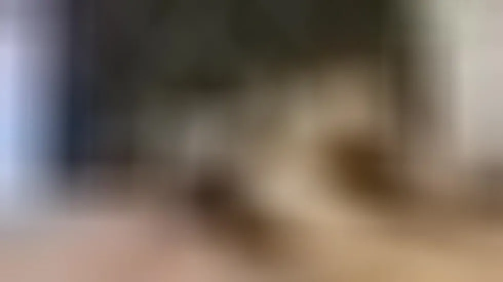 Utøver Alex_Scott Video 1