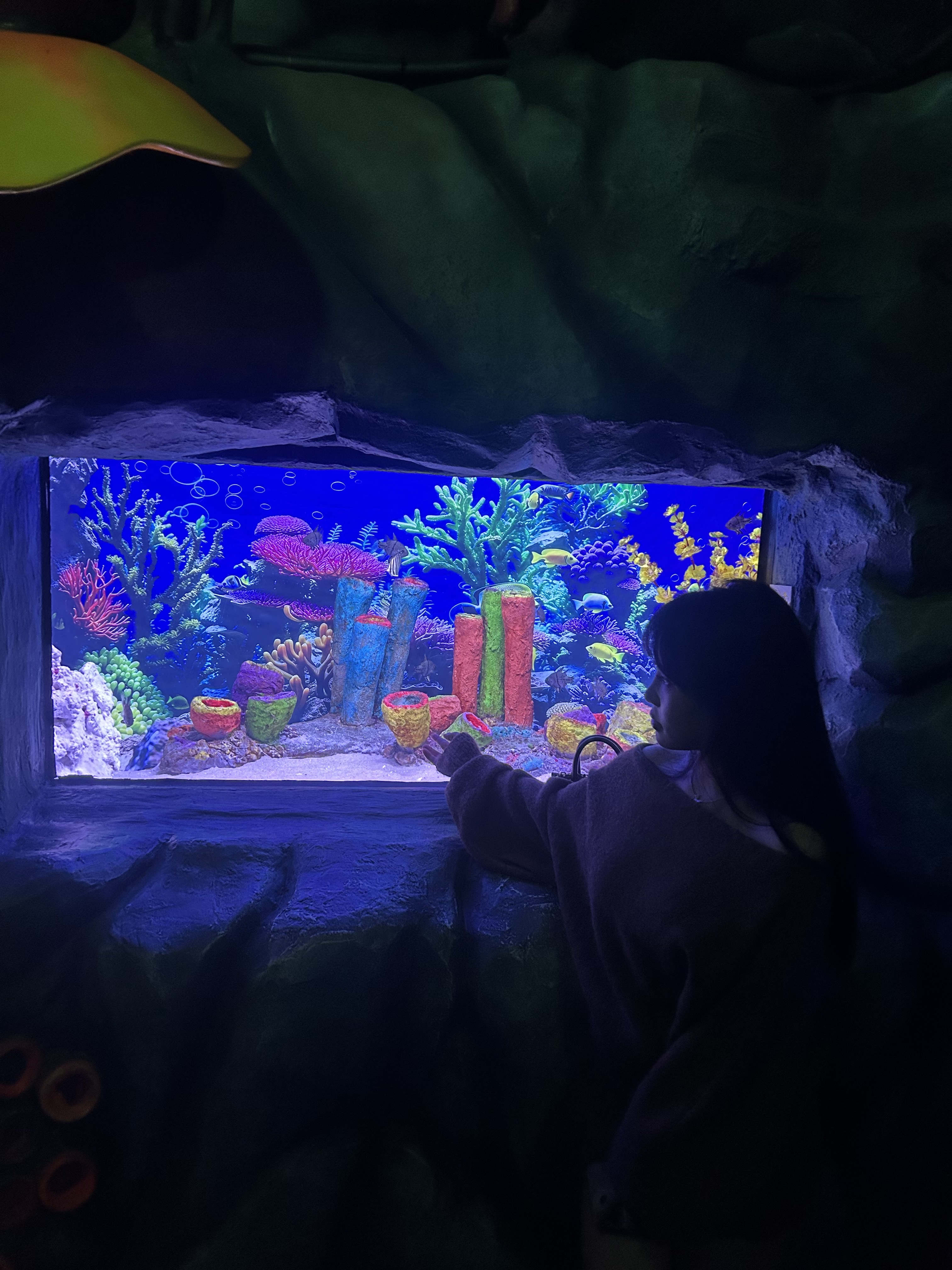 Artiest DianaMi Foto 4