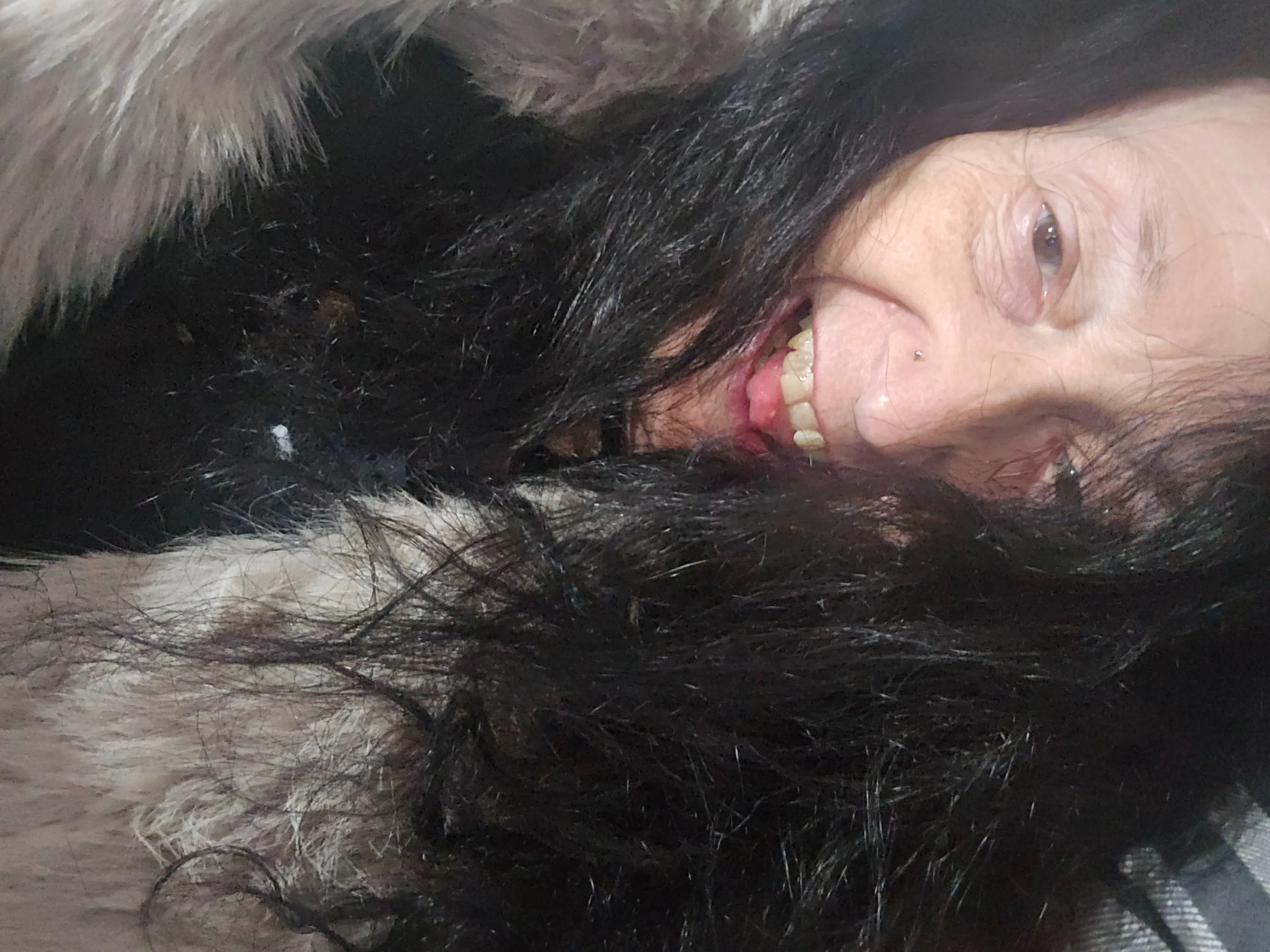 Utøver Elizalegg33 Bilde 1