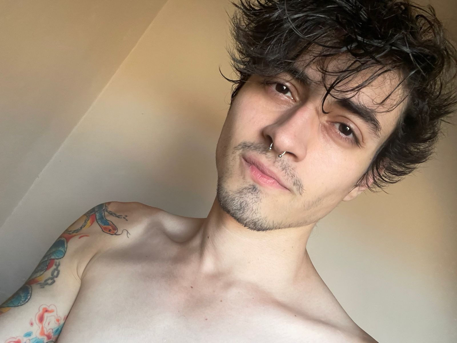 Artista PietroHarry Foto 4