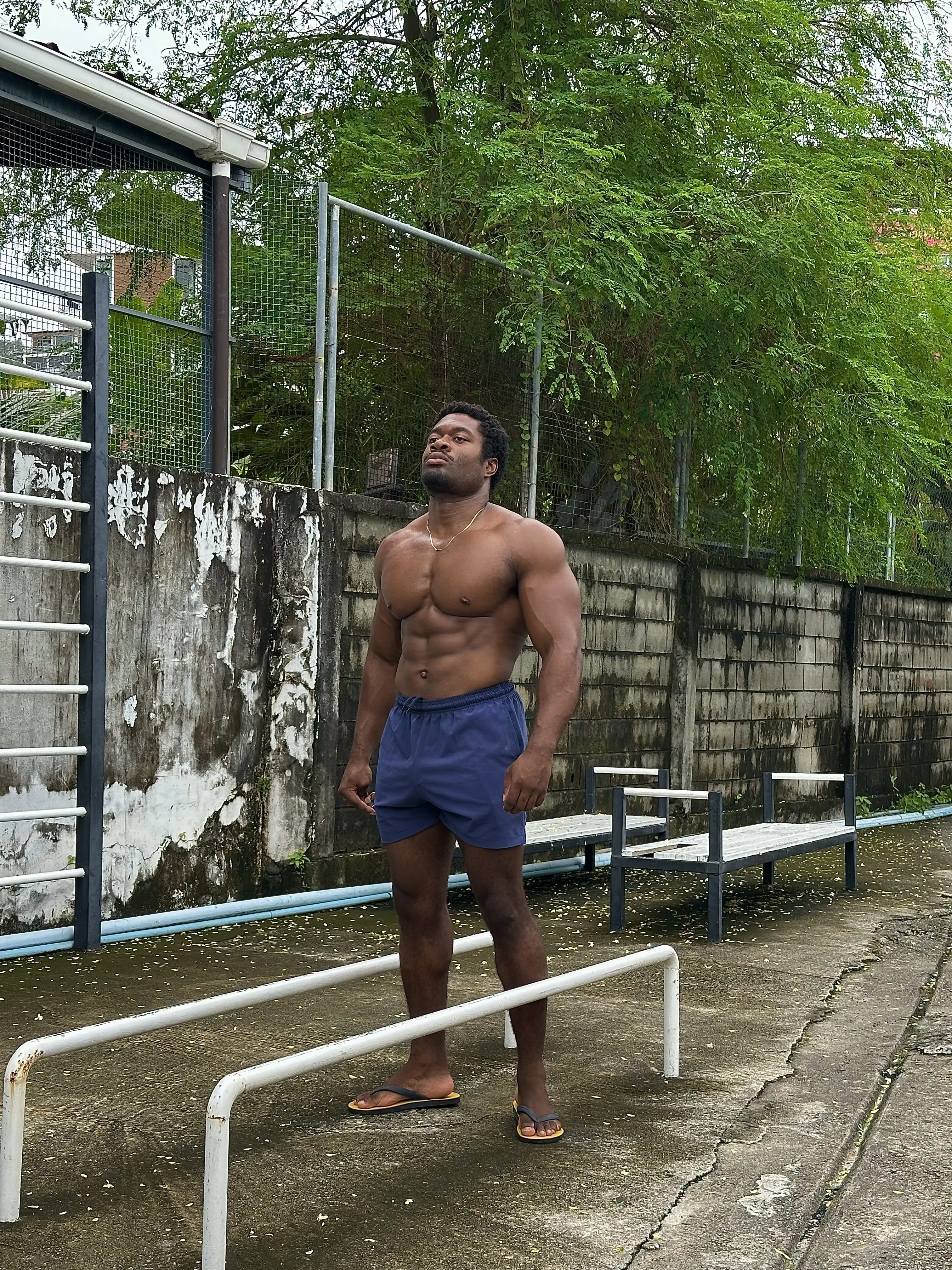 Intérprete 28StefanGray Foto 6