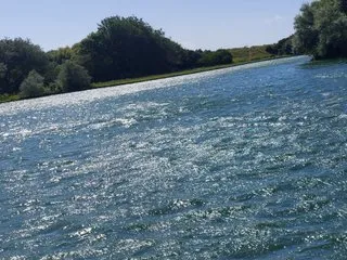 MsBlondieX immagine del profilo del modello di cam