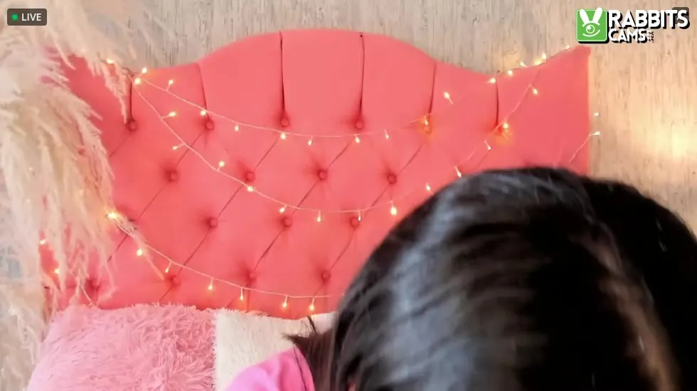 Artist AmeliadDilucas Video 1