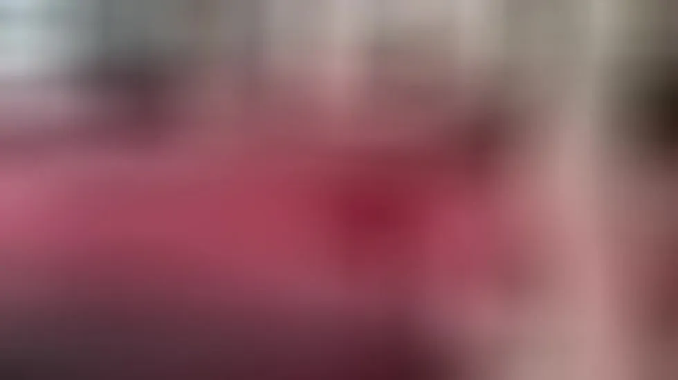 Artiest IndiannLaila Video 1
